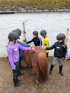 Horse riding with Tuition Time